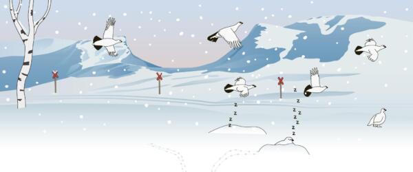 Illustration av fjällen i snölandskap där man ser ripor flyga