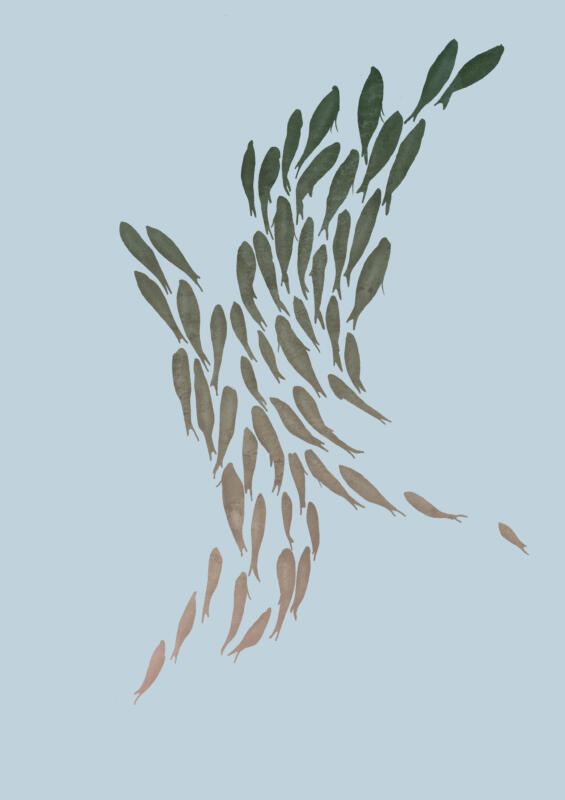 Illustration av ett fiskstim på en ljusblå bakgrund