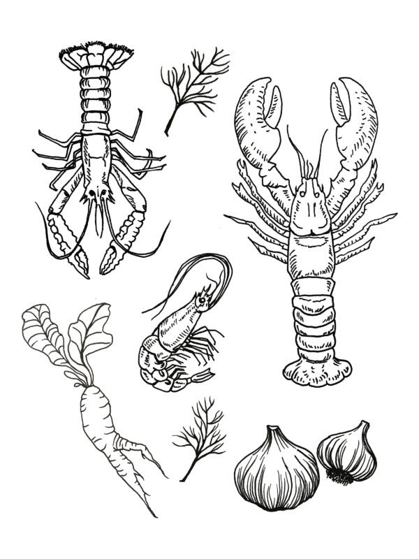 Linjeillustration av hummer, kräfta, räka, pepperrot, vitlök, dillkvist
