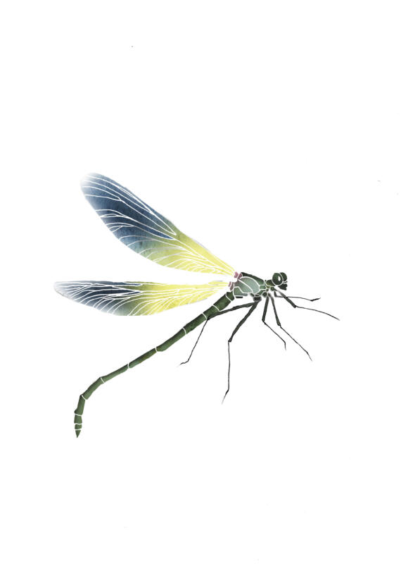 Illustration av en trollslända i färg gult blått och grönt