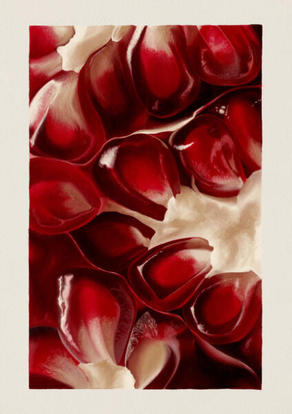 Digital illustration, närbild på granatäppelkärnor