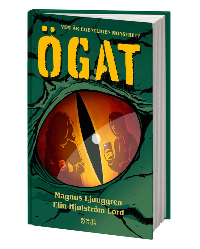 mockup av boken ögat