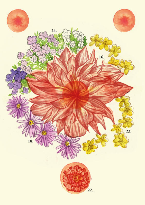 Borås blomsterprogram