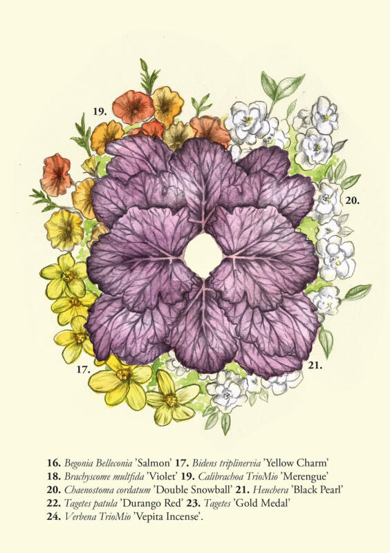 Borås blomsterprogram