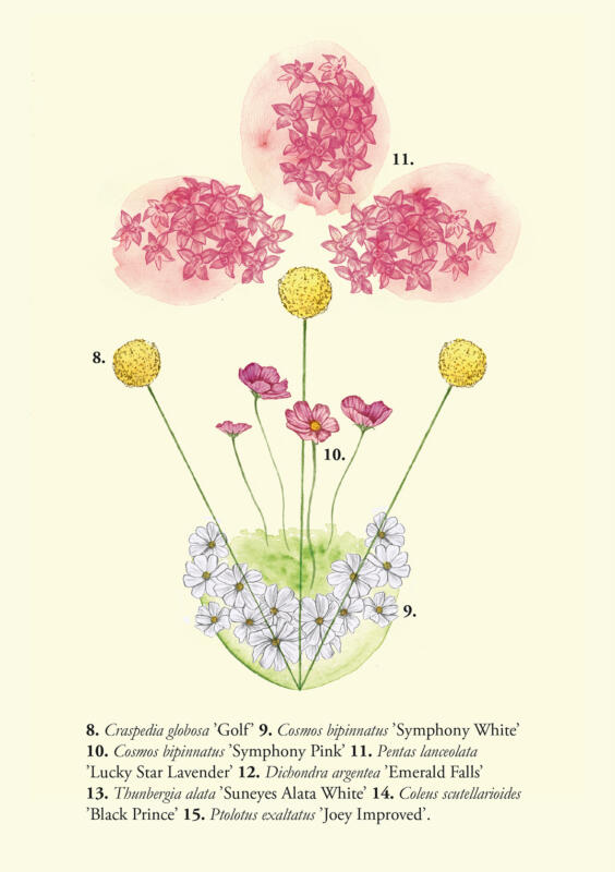 borås blomsterprogram 