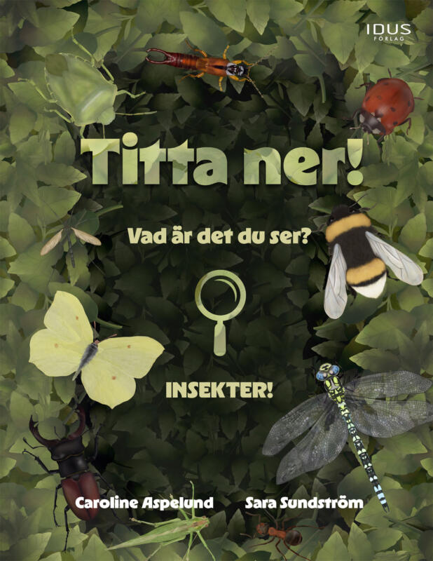 Omslagsillustration till barnboken Titta ner!, faktabok för barn om insekter och natur