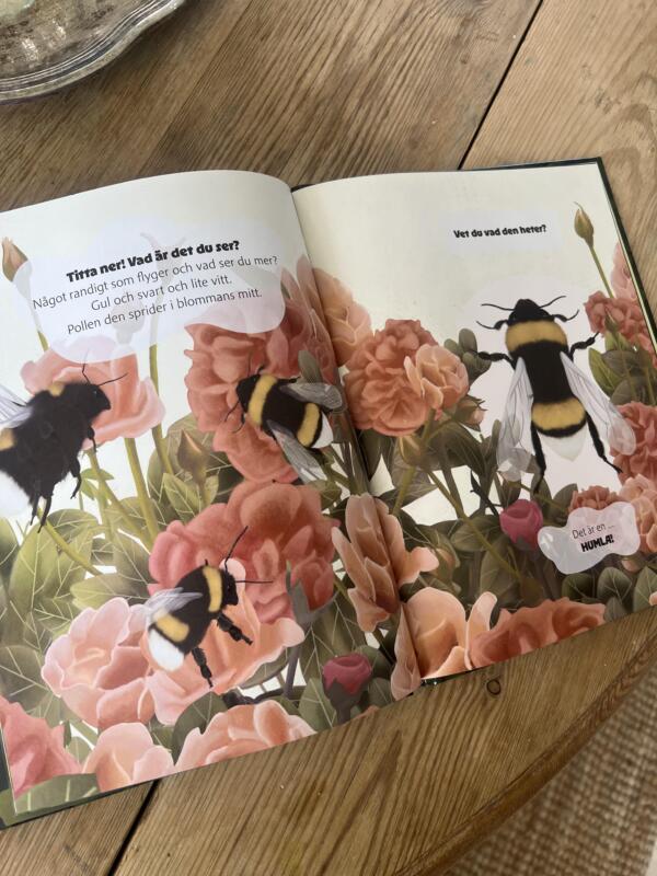 Illustration av humla i barnboken Titta ner!, naturmotiv i mjuka färger
