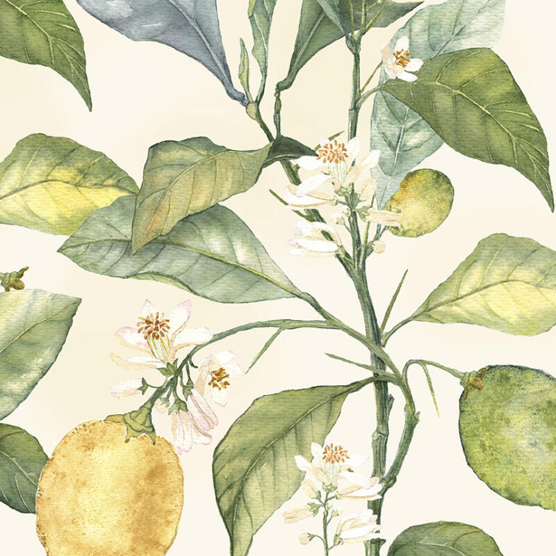 Design "Citrus". In collaboration with Klippan Yllefabrik