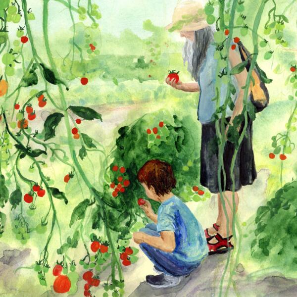 Handgjord akvarell med motiv av odling och generationer – barn och farmor i tomatodling. Illustration om hållbarhet, grön omställning, klimat, regenerativt jordbruk, ekologisk odling, natur, framtidstro och relationen mellan människa och jord. Passar för informationsmaterial, redaktionellt innehåll, projekt, böcker och bildmaterial om miljö, matproduktion och hållbart liv.