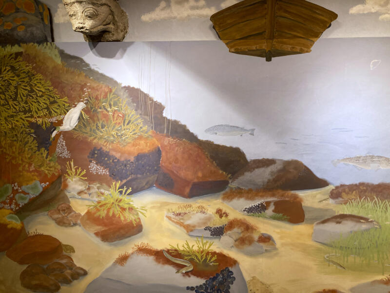 Våggmåleri i lekutställningen "Gammeldagstiden" på Östelens museum i Simrishamn. Här syns några karaktärsarter: blåstång, sågtång,ejder som äter blåmusslor, ål, lax och torsk.  Måleriet är skapat i äggoljetempera.