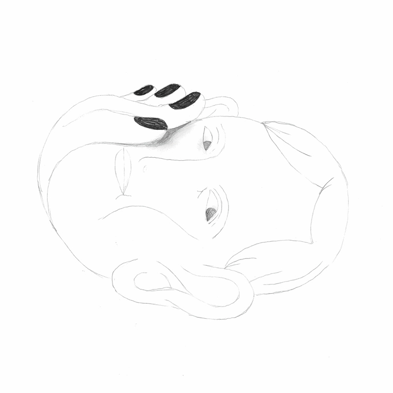 2d animation i akvarell och blyerts av ett huvud och sniglar som rör sig