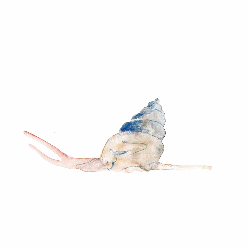 2d animation i akvarell och blyerts av en tjej som reser sig upp