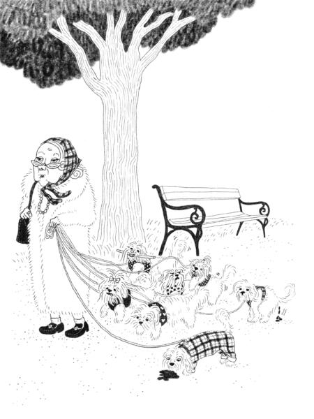 Illustration till barnboken Matilda och den förfärlige Florian, föreställande en kvinna med butter uppsyn som promenerar med ett gäng småhundar.