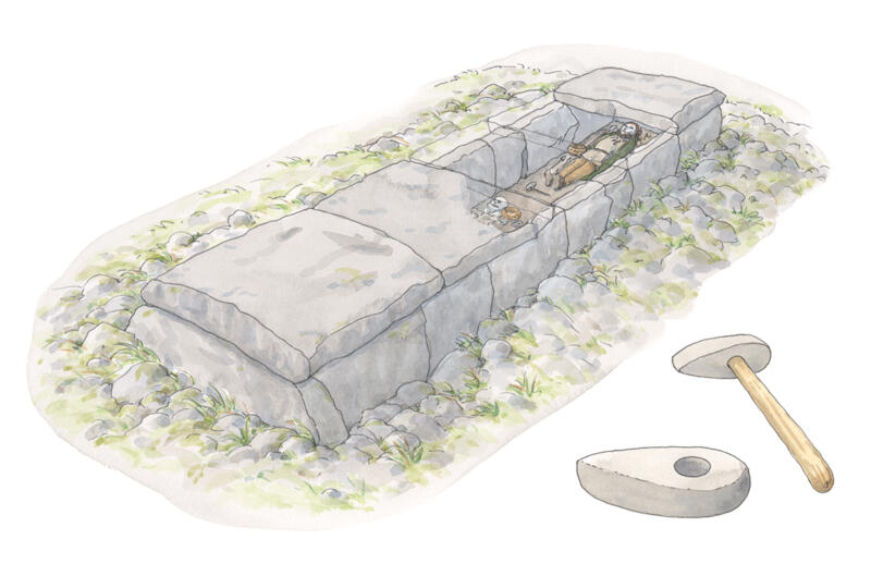 Illustration av hällkista från bondestenålder med begravda kroppar omgivna av gravgåvor såsom flintaredskap, stenyxor och keramik sedda i genomskärning.