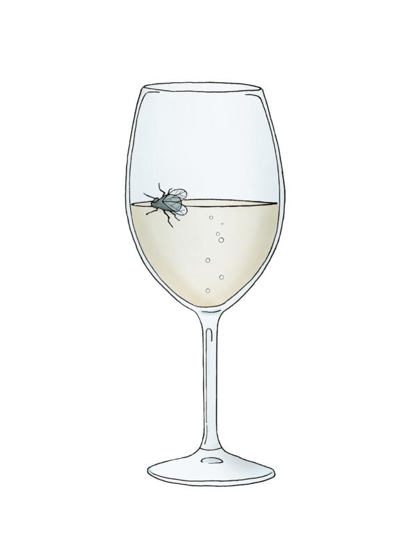 Illustration av vinglas med en fluga som flyter omkring i vinet