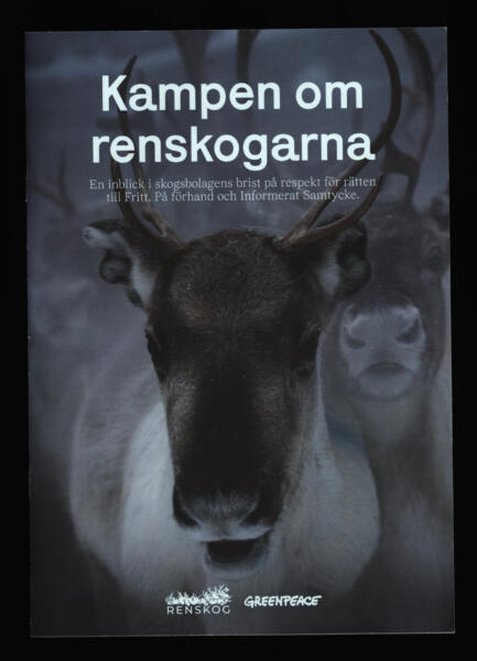 omslagsbild av den tryckta rapporten "Kampen om renskogarna", med ett stort fotografi av en ren.