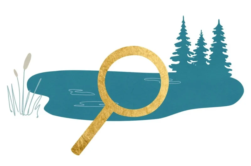 Educational illustration for Nobel